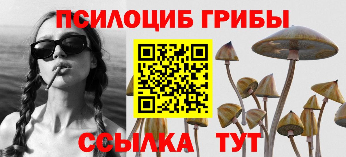 Юрга  Псилоцибиновые грибы Magic Shrooms  Псилоцибиновые грибы MAGIC MUSHROOMS  Вход с VPN 