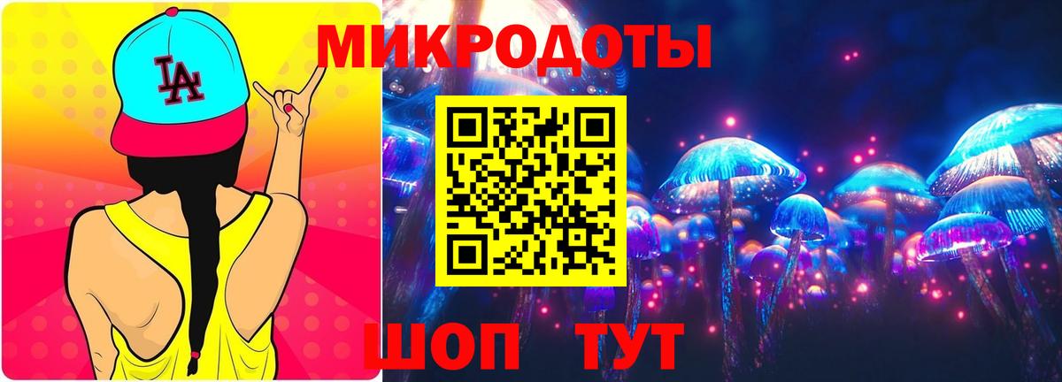 Псилоцибиновые грибы Cubensis Юрга